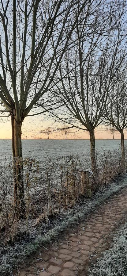 Vakantiewoning Victors Hof Tot 4 Pers Lievegem Eksteriør billede
