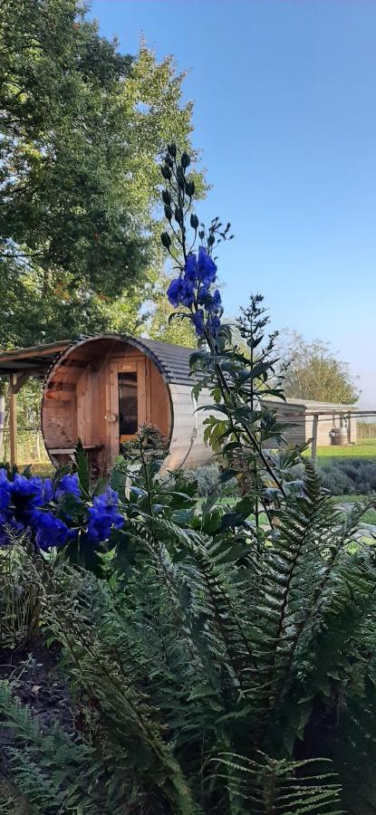 Vakantiewoning Victors Hof Tot 4 Pers Lievegem Eksteriør billede
